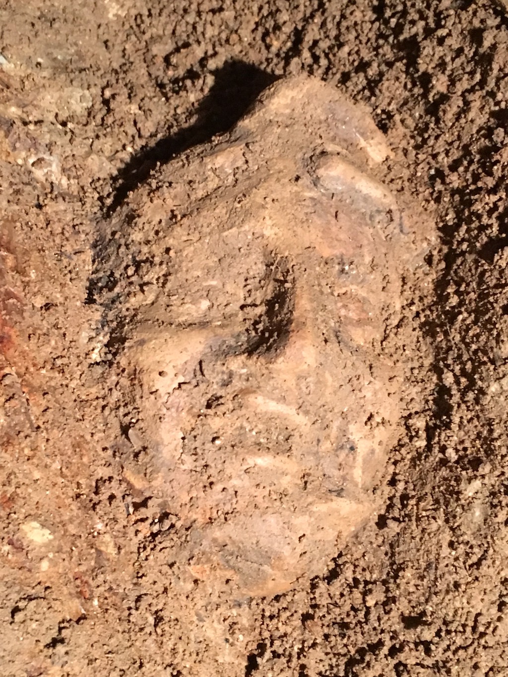 Etruscan Terracotta Mask Discovered in Tuscania (VT)