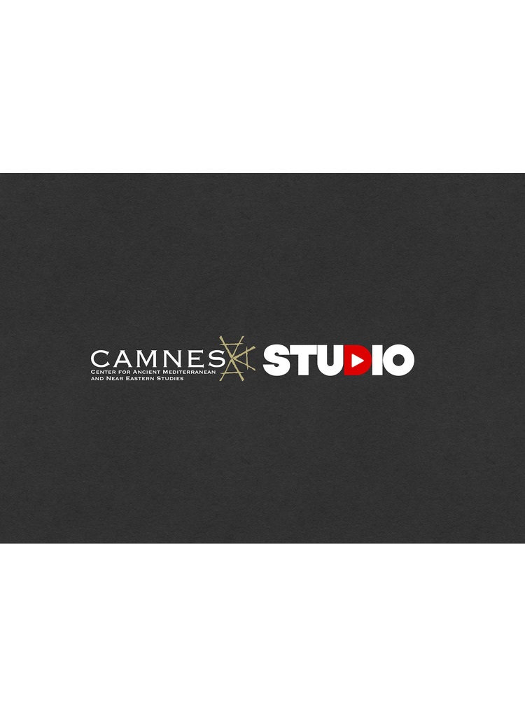CAMNES Studio (on-line)