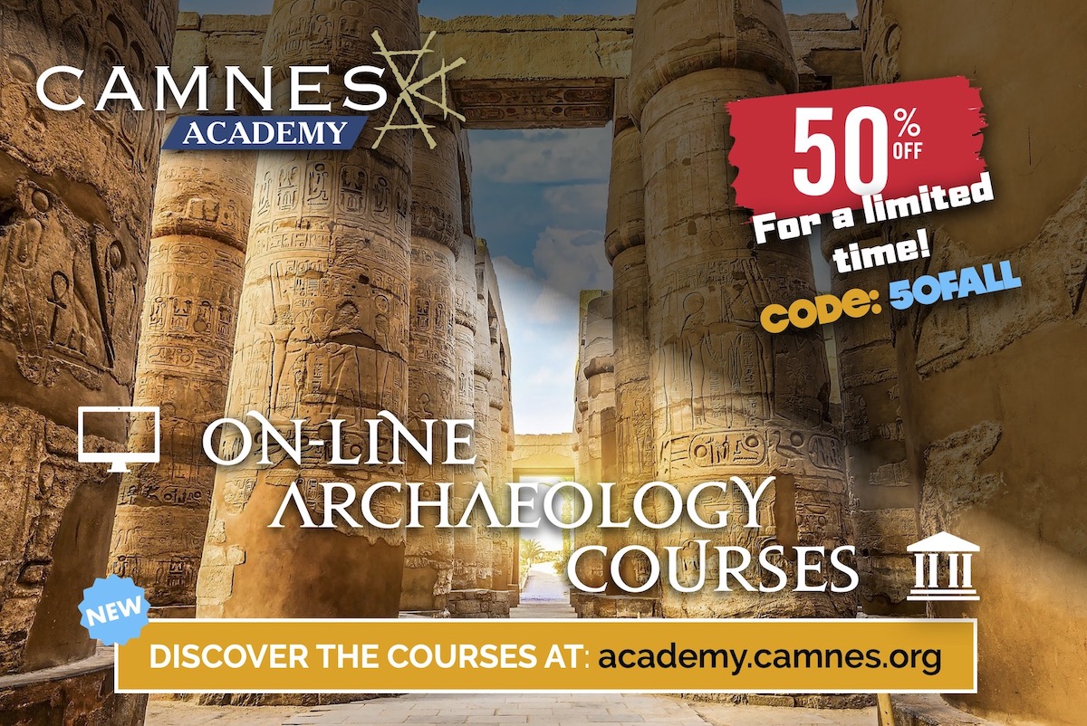 CAMNES Academy at half price!