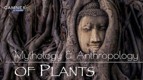 Course: Mythology & Anthropology of Plants